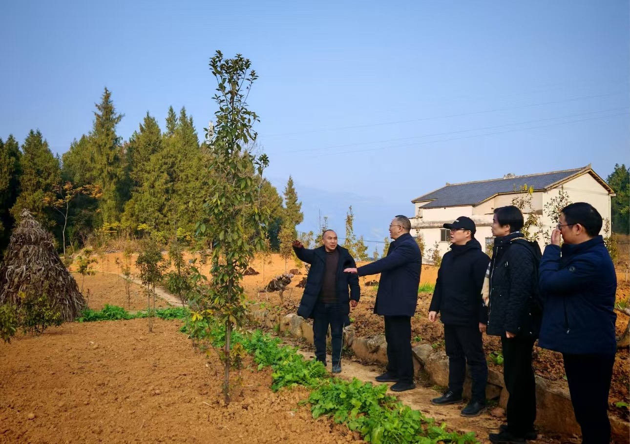 1739179553687217.jpg 圖片2.jpg