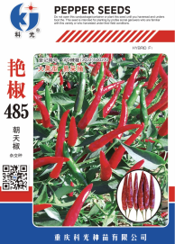 科光種苗“艷椒485”辣椒、“秋實(shí)1號”甘藍(lán)分別入選2025年農(nóng)業(yè)主導(dǎo)品種、農(nóng)作物優(yōu)良品種推廣目錄